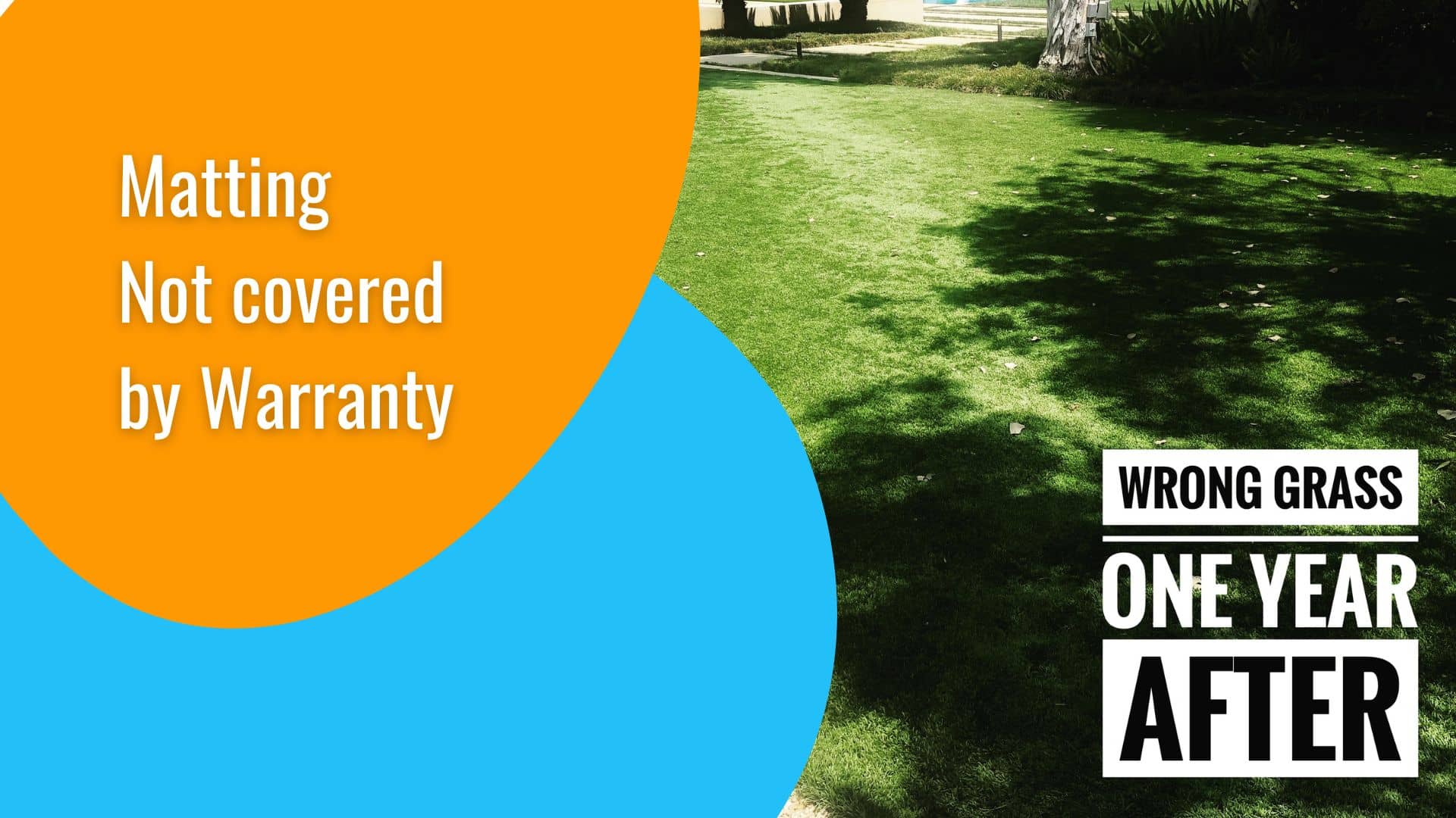 Compare Artificial Turf Warranty Of The Best Artificial Grass Brands